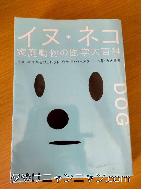 愛猫がシーバで吐くってホント 吐く前に鳴くのは予兆 動物病院で聞いてみた 夕やけニャンニャン