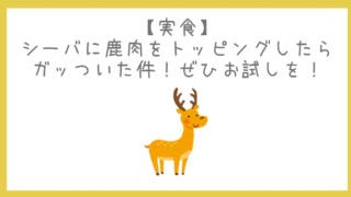 愛猫がシーバしか食べないけど大丈夫？他も食べさせた方がいいの 