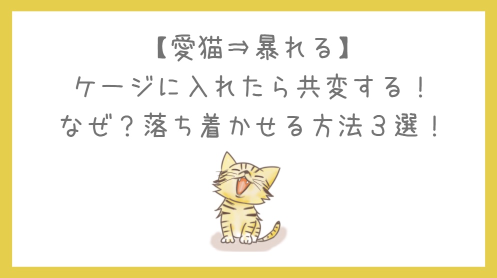 愛猫,暴れる,ケージ,なぜ,落ち着かせる方法  夕やけニャンニャン